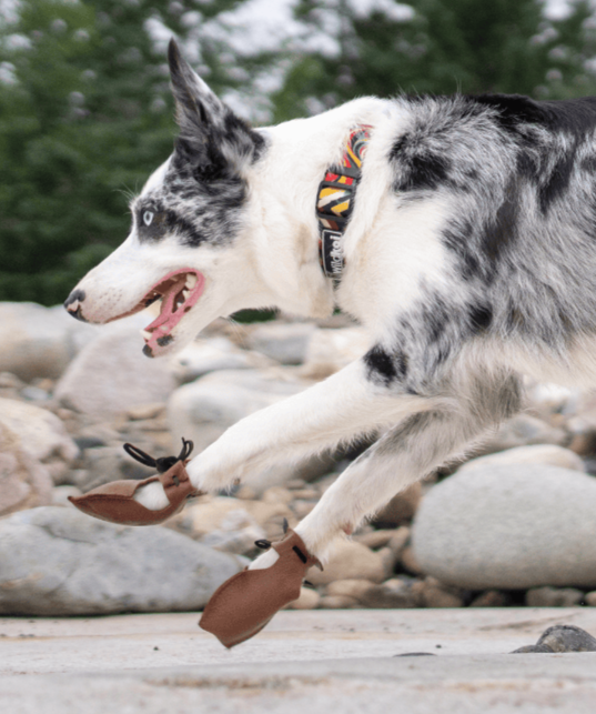 Leather Dog Shoes For All Dogs Dog Mocs Premium Leather Dog Shoes